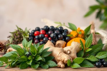 Best herbal remedies for immune system support